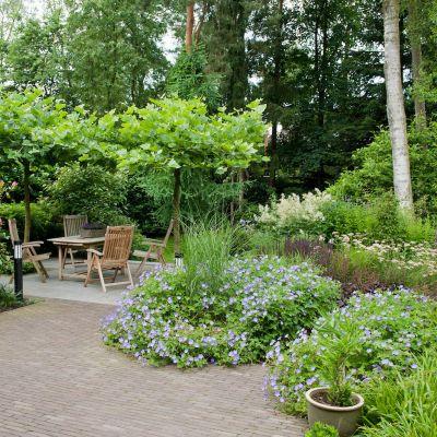 120507 8896 bostuin bilthoven van dijk tuinen 120507 8896 bostuin bilthoven van dijk tuinen